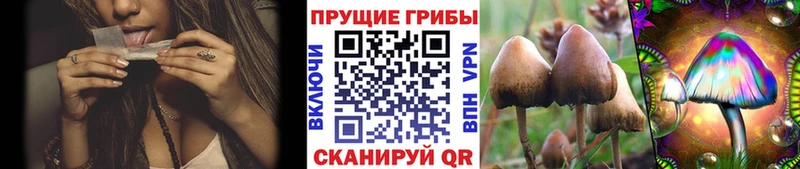 Псилоцибиновые грибы ЛСД  kraken ТОР  Межгорье 